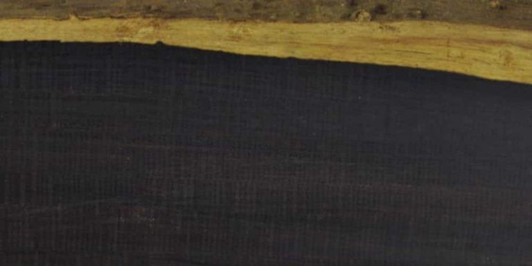 Species 17 Blackwood - African Lumber @ Rarewoods SA