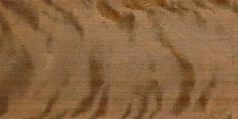 Species 15 Birch - Flame Roasted Lumber @ Rarewoods SA