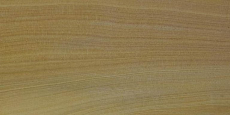 Boxwood 8 Boxwood Lumber @ Rarewoods SA