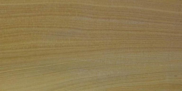 Boxwood Lumber @ Rarewoods SA
