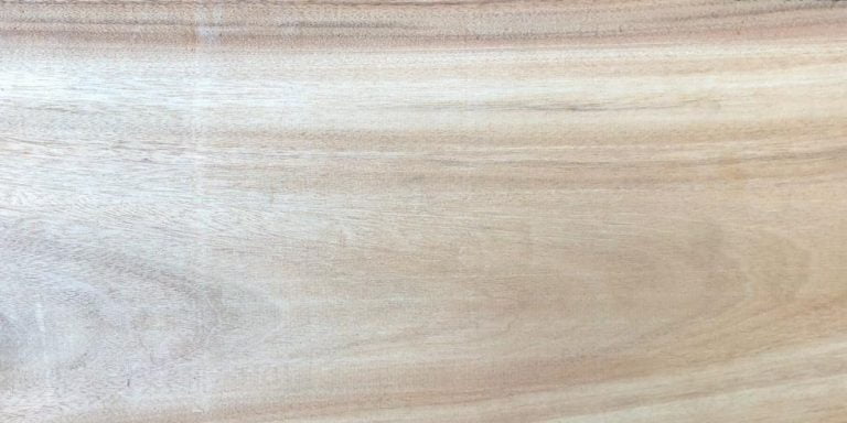 Species 24 Camphor Lumber @ Rarewoods SA