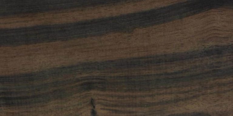 Ebony - Amara 43 Ebony - Amara Lumber @ Rarewoods SA