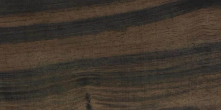Ebony - Amara Lumber @ Rarewoods SA