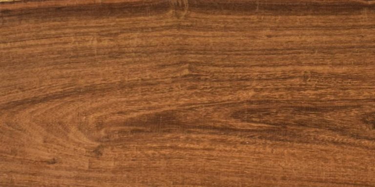 Species 9 Hormigo Lumber @ Rarewoods SA