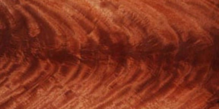 Mahogany - Crotch 7 Mahogany - Crotch Lumber @ Rarewoods SA
