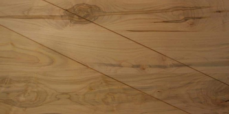 Maple - Ambrosia 32 Maple - Ambrosia Lumber @ Rarewoods SA