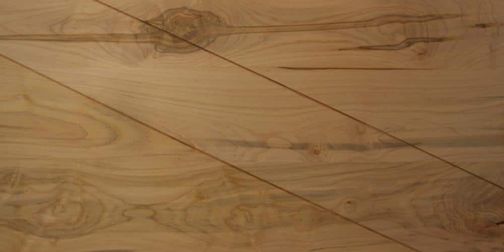 Maple - Ambrosia Lumber @ Rarewoods SA