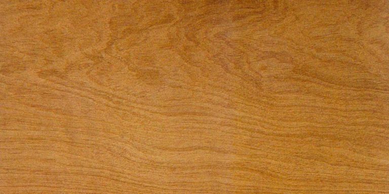 Sneezewood 15 Sneezewood Lumber @ Rarewoods SA