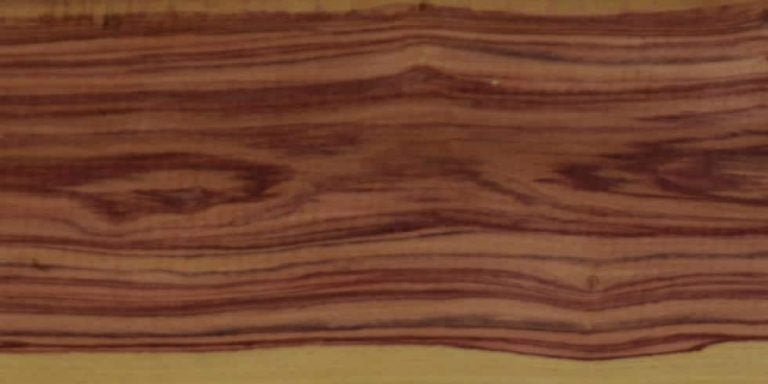 Tulipwood 2 Tulipwood Lumber @ Rarewoods SA