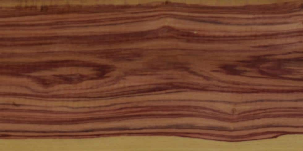 Tulipwood Lumber @ Rarewoods SA