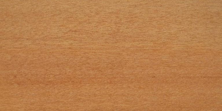 Species 1 Abura Lumber @ Rarewoods SA