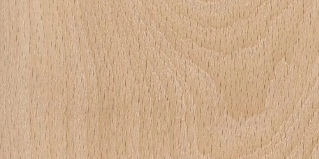 Beech - American Lumber @ Rarewoods SA