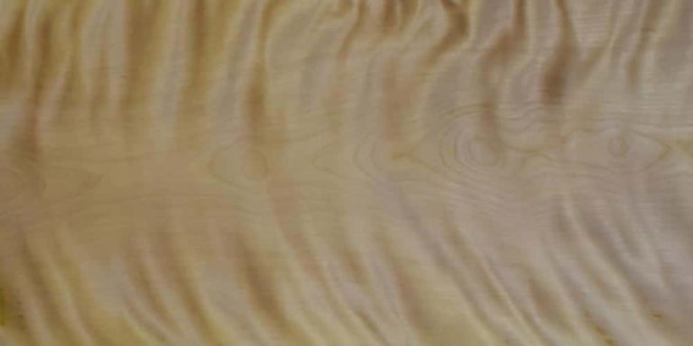 Birch - Flame 10 Birch Flame Lumber @ Rarewoods SA