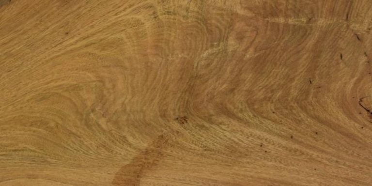 Species 34 Cerejeira - Crotch Lumber @ Rarewoods SA