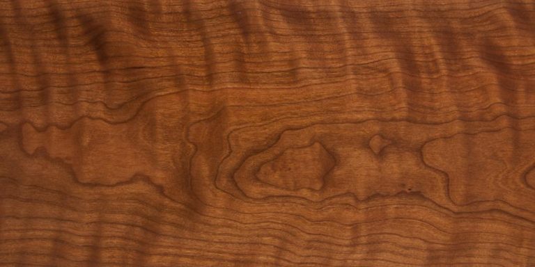 Cherry - American Curly 42 Cherry - Curly