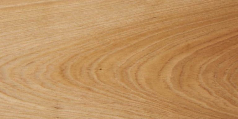 Species 41 Cypress - Swamp Lumber @ Rarewoods SA