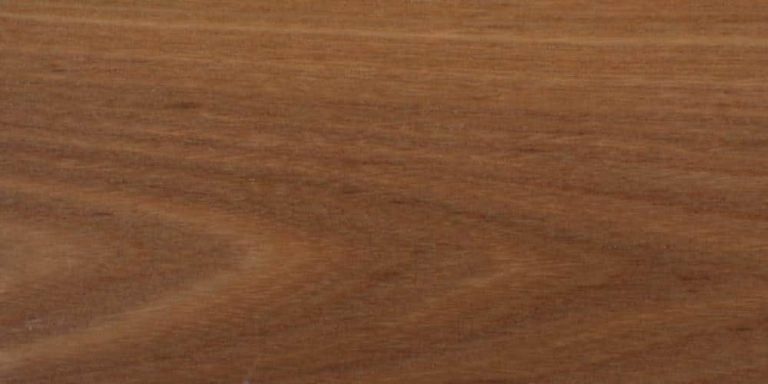 Elm - Red 8 Elm - Red Lumber @ Rarewoods SA