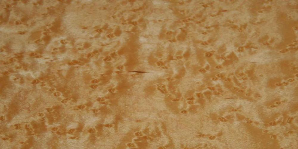 Maple - Birdseye Lumber @ Rarewoods SA