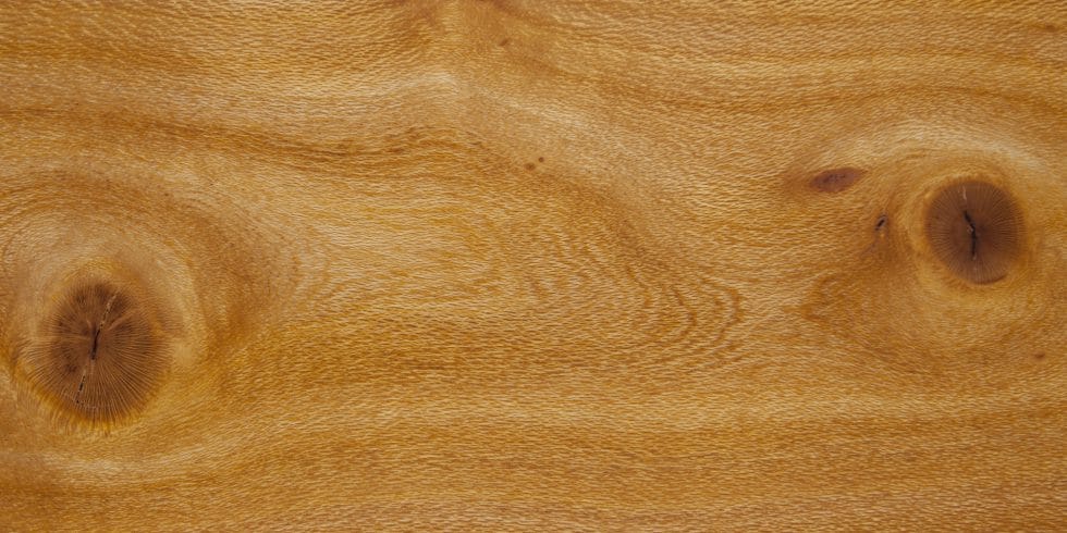 Oak - Silky Lumber @ Rarewoods SA