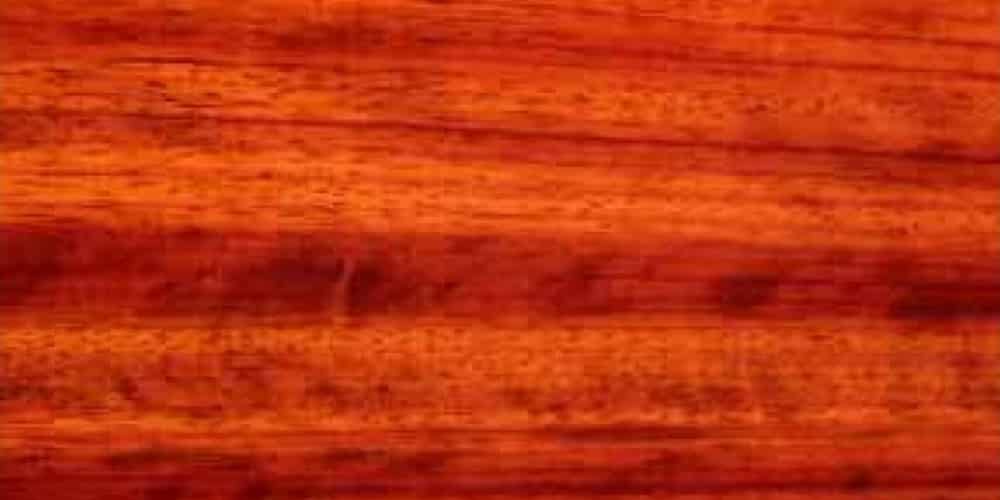 Padauk - African Lumber @ Rarewoods SA