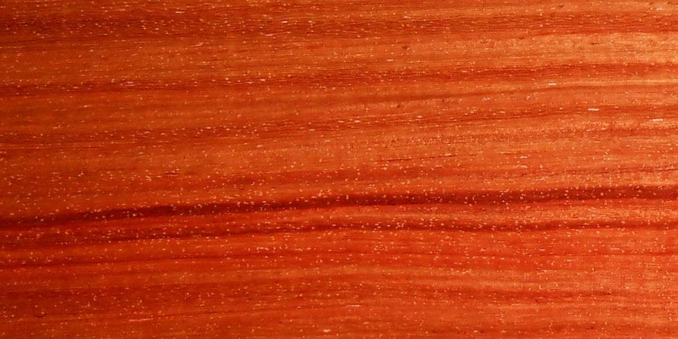 Pau Rosa Lumber @ Rarewoods SA