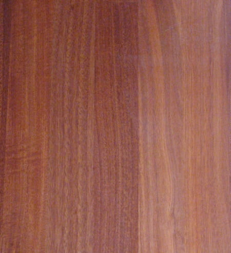 Surian Lumber @ Rarewoods SA