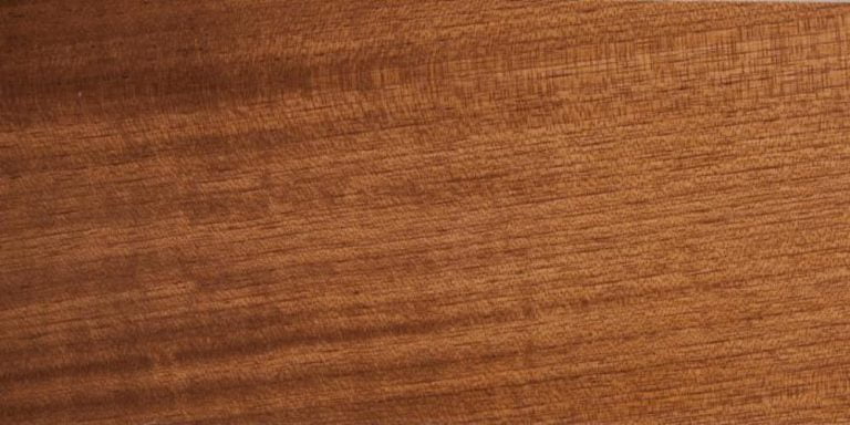 Species 30 Cedar - Spanish Lumber @ Rarewoods SA