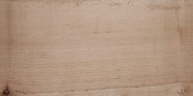 Sycamore - French 6 Sycamore - French Lumber @ Rarewoods SA