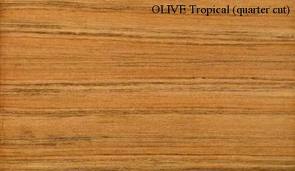 Olive - Tropical Lumber @ Rarewoods SA