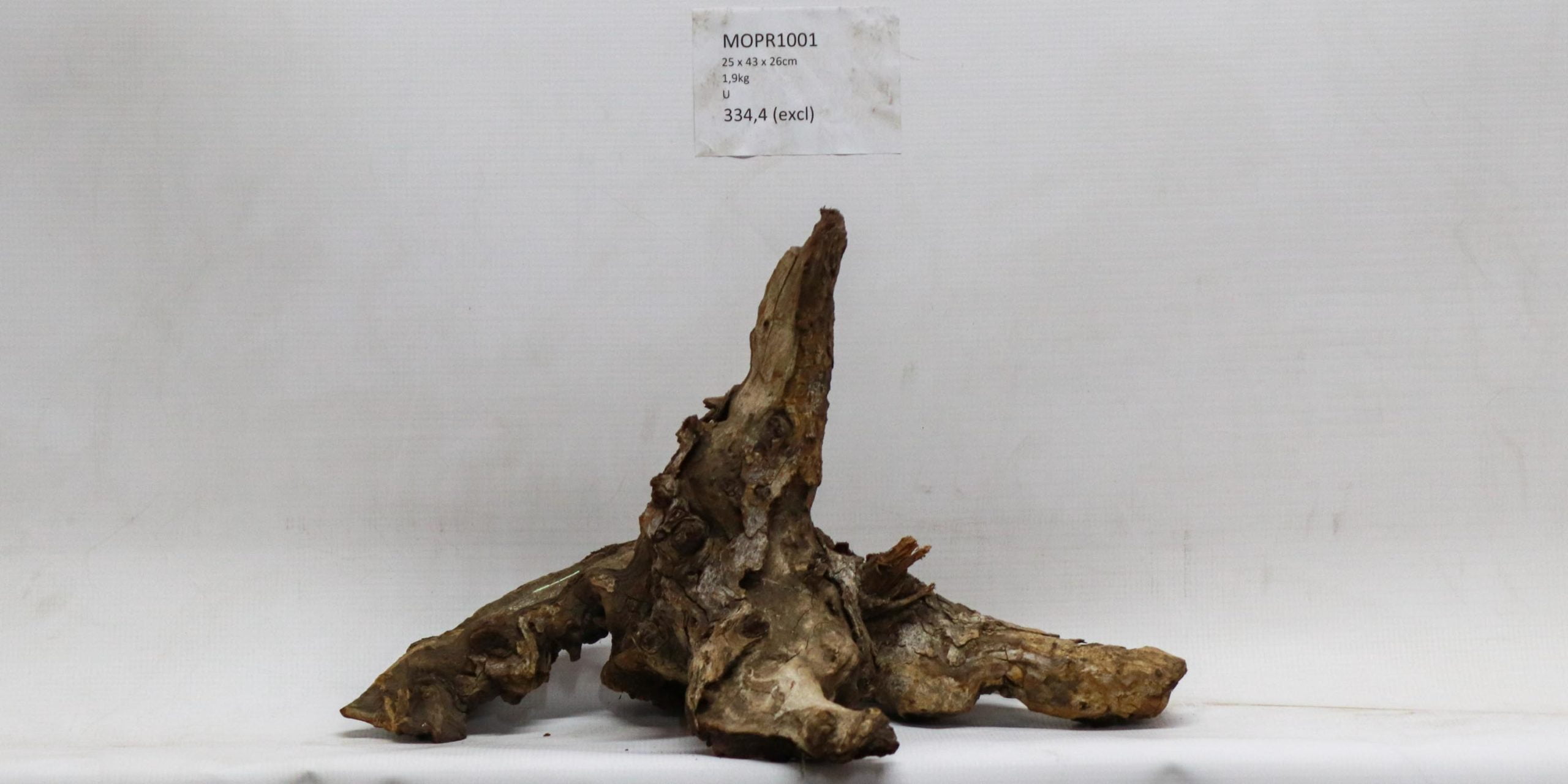 Mopane Tree Namibia Roots Mopane - Roots - Rare Woods SA