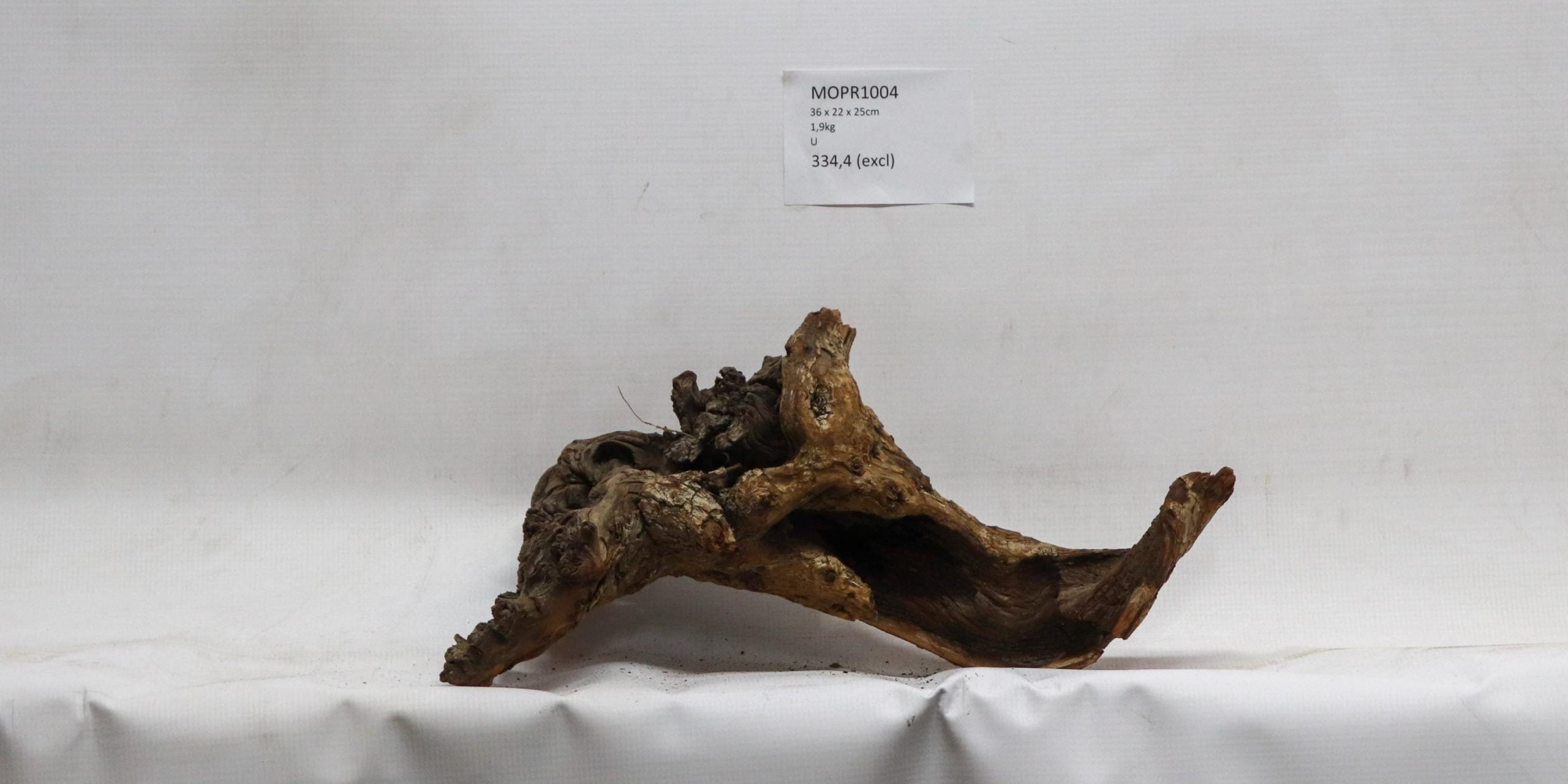Mopane Tree Namibia Roots Mopane - Roots - Rare Woods SA