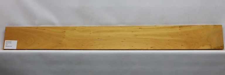 SATEI1008 1 scaled 1 1 1 1