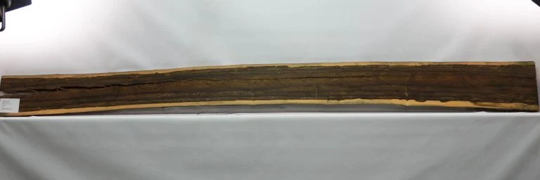 Ziricote 5 ZIRI1013 1 scaled 1 1 1 1