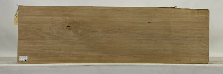 Basswood 1 BASS1040 1