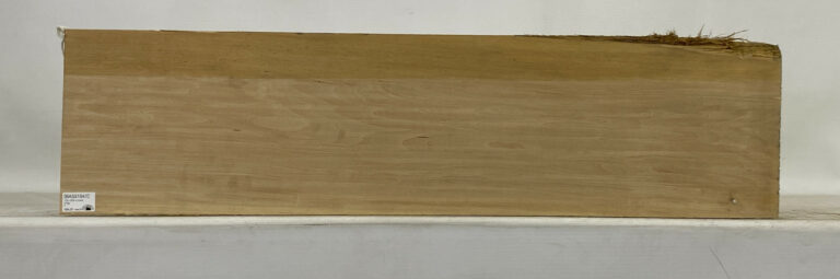 Basswood 2 BASS1041 1